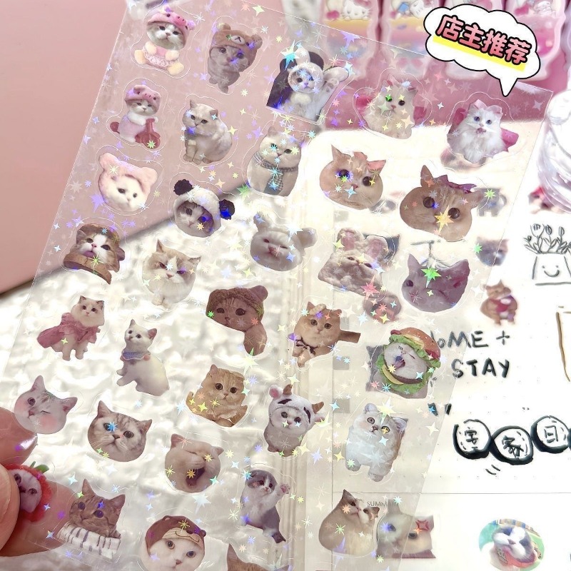 High-value Cat Cutting Film St - Industrial Laser Power ulasan dan harga